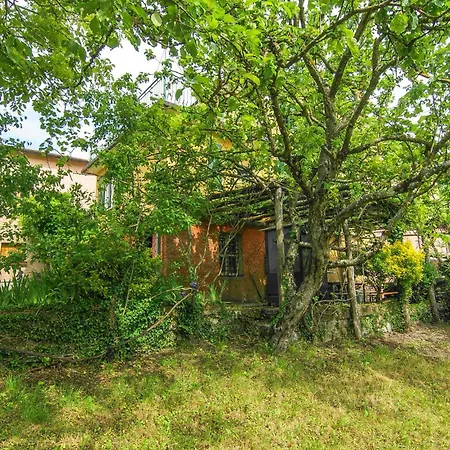 Lovely In With Wifi 度假居